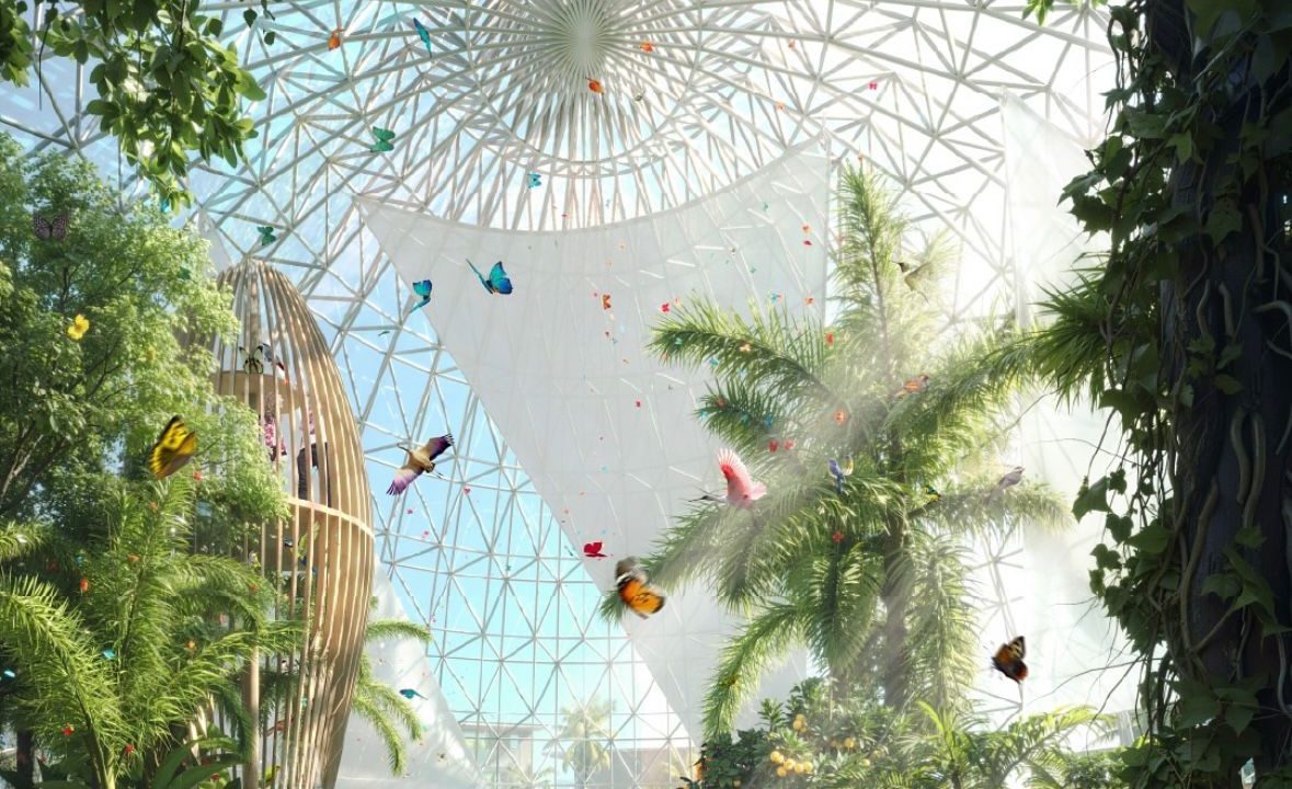 WhatsApp Image 2025-12-13 at 13.58.06